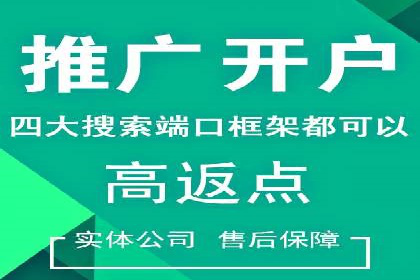 百度SEO推广成功案例：品牌知名度提升